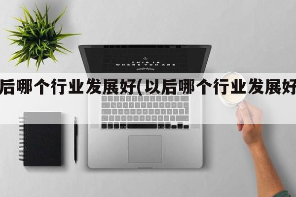 以后哪个行业发展好(以后哪个行业发展好些)